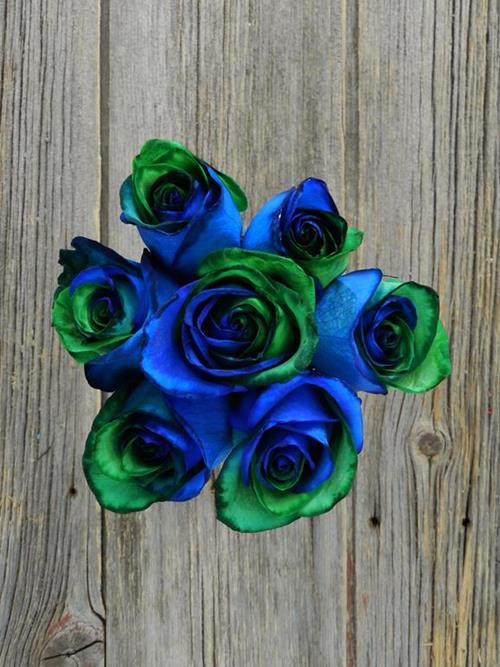 BLUE & GREEN  TINTED ROSE